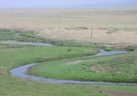 Mongolian Steppes
