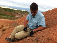 Hunting Evidence from the Eocene