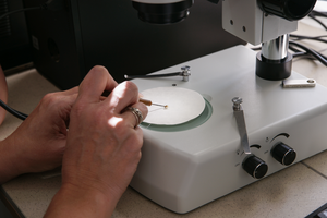 Entomologist