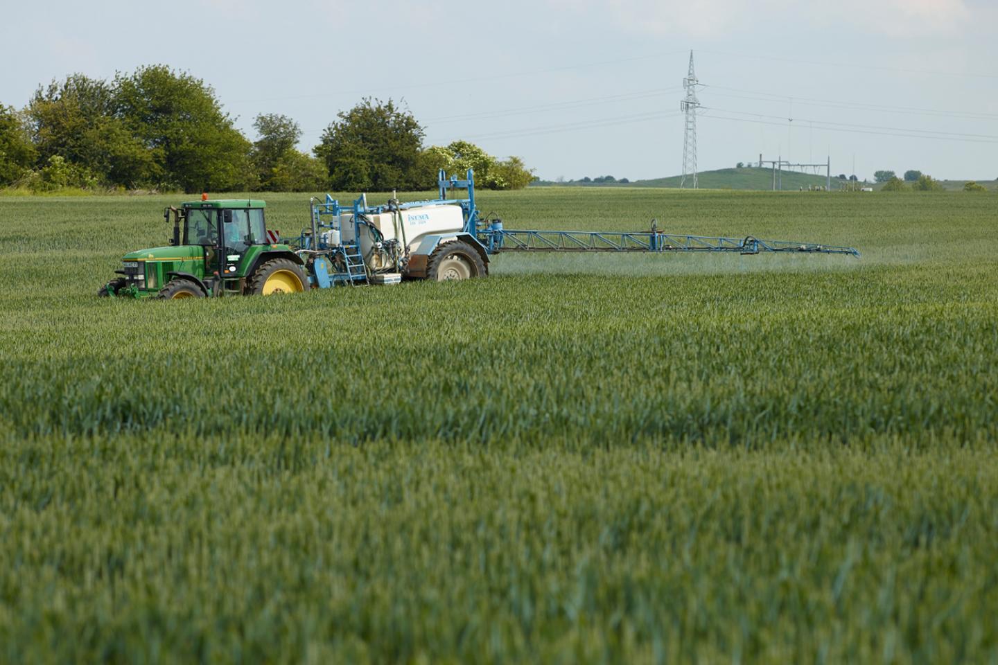 Photo1 The Use of Pesticides Can Lead to a Build-up of Toxic and Ecologically Harmful Residues