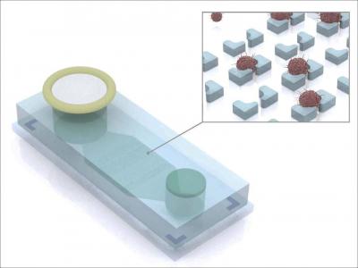 Ascites Tumor Cell (ATC) Chip