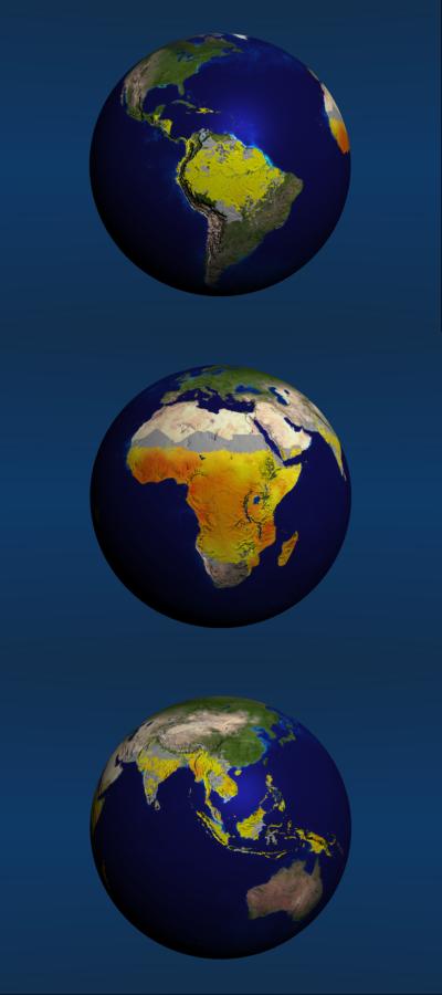 Malaria Map