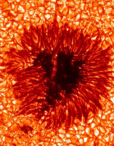 Pinpointing the Nature of Dark Cores in Sunspots (5 of 7)