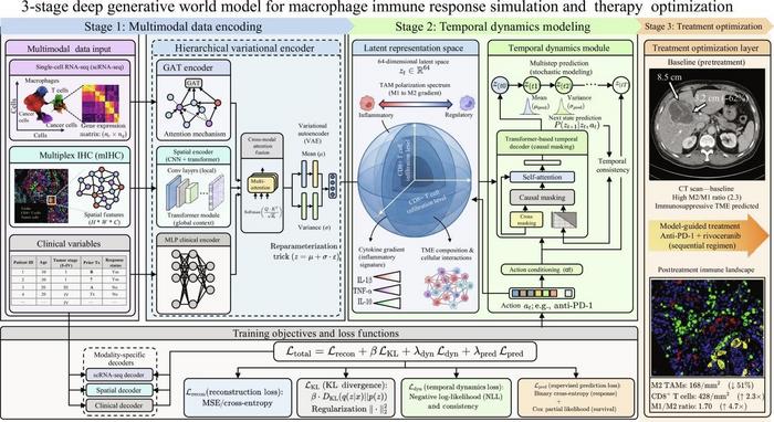 The architecture of GI-ImmunoWorld.