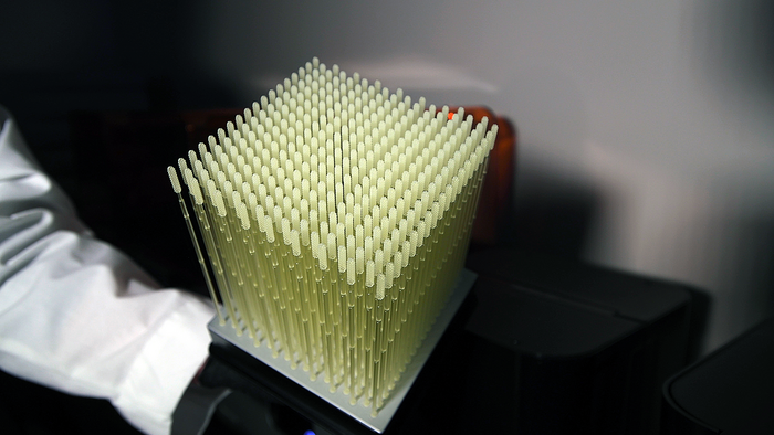USFH-3D Swabs-0001 copy.jpeg