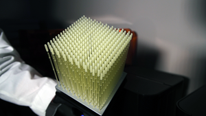 USFH-3D Swabs-0001 copy.jpeg