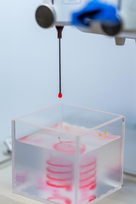 3D printing vessels in liver organoids