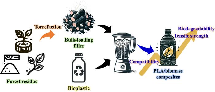 Enhancing compatibility and biodegradability of polylactic acid/biomass composites through torrefaction of forest residue