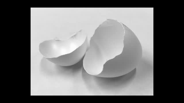Cracking Avian Eggshell Structure (4 of 4)