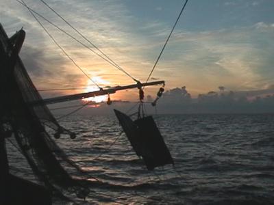 Setting the Nets