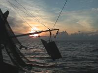 Setting the Nets