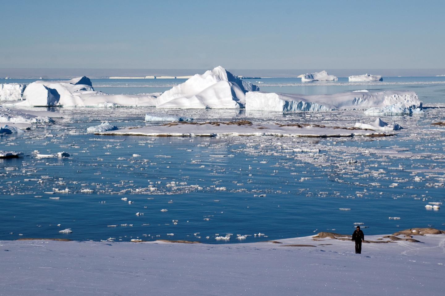 Iceberg