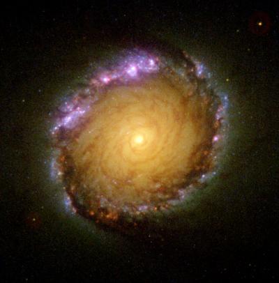 Nuclear Galactic Rings
