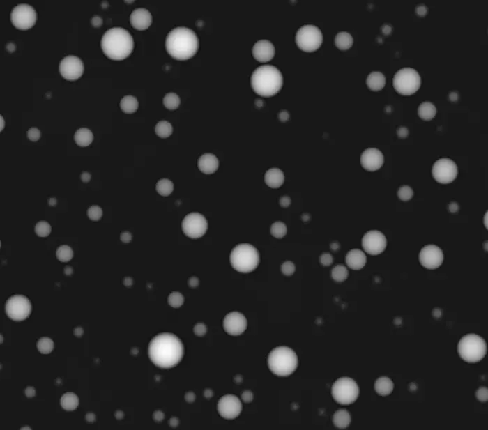 A quantitative phase microscopy image of biomolecular condensates reconstituted from RNA and four distinct RNA-binding proteins.