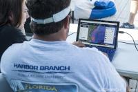 Scientists Track Habitat Use of Baby White Sharks in the North Atlantic