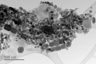 Magnetofossils