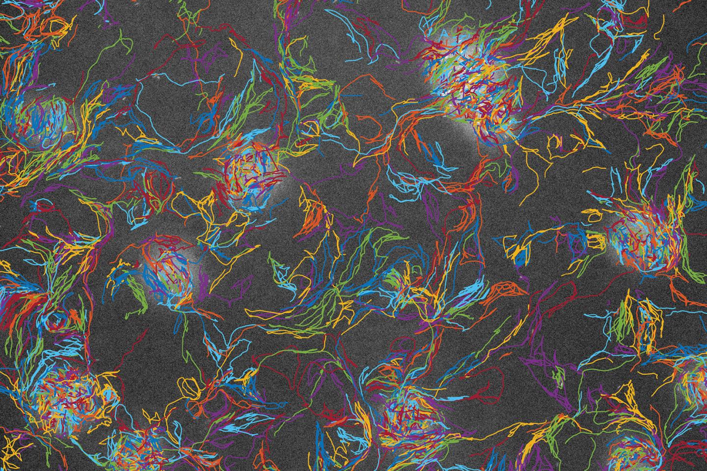 Xanthus Trajectories