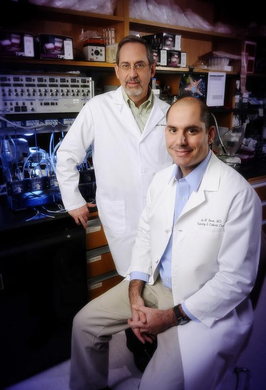 David Bedwell and Steven Rowe