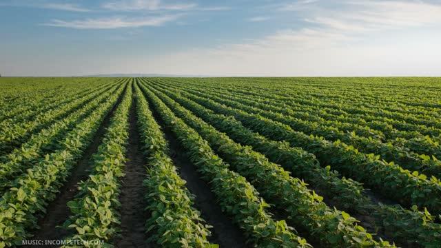 Video: H-protein Boosts Yield