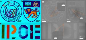Figure 3| The microscopy images of the 3 painting samples.