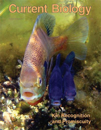 Current Biology Sept. 19, 2006 cover