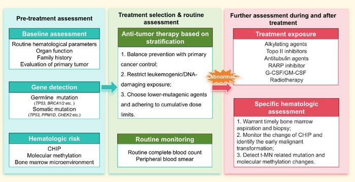 Risk management process of t-MN in female-specific cancer.