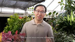 Crop and food safety