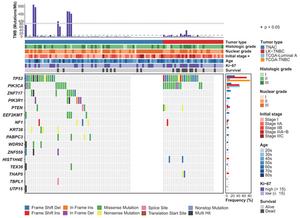 Somatic Point Mutations in TNAC and LK-TNBC