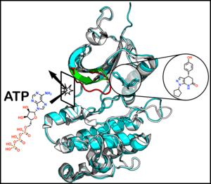 Scientists Uncover Hidden Drug-binding Pocket in Cancer Protein, Highlighting the Power and Limitations of AI Drug Discovery