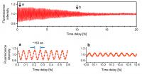 Temporal profiles
