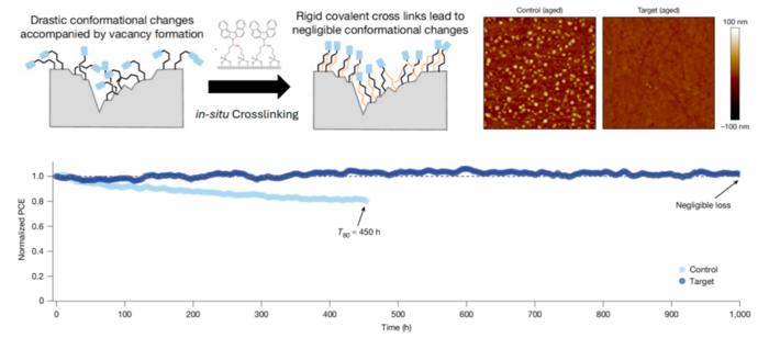 Schematic of the SAM molecular cross-linking conformation, device buried interface morphology, and operational stability data