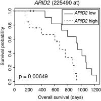 Figure 3. Survival analysis of multiple myeloma patients
