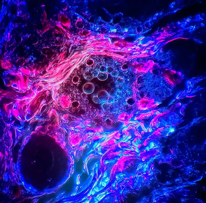 The Cosmic Bubble
