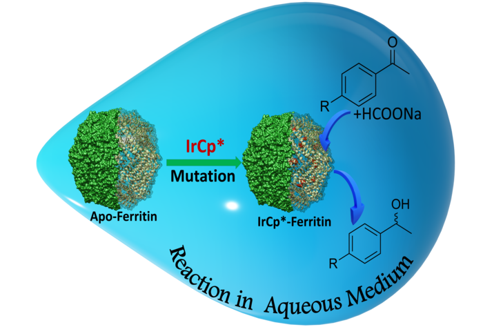 Figure 2. A hybrid bio-nanocage formed by the ferritin protein