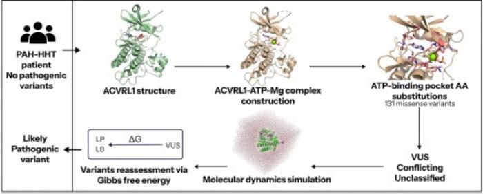 Graphical abstract