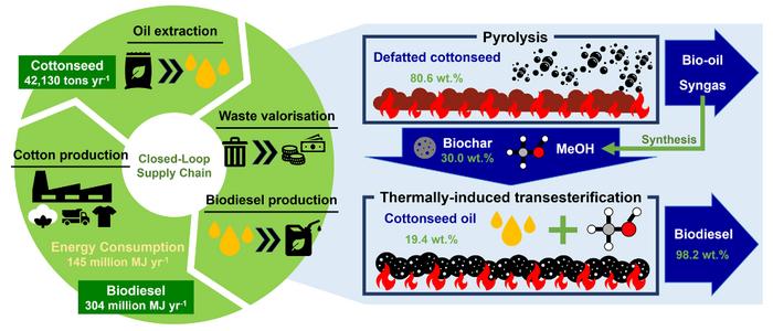 Use of defatted cottonseed-derived biochar for biodiesel production: a closed-loop approach