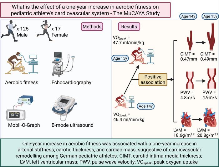 In 142 paediatric sport athletes followed up for one year, increased cardiorespiratory fitness was associated with heart enlargement, arterial stiffness, carotid thickness and increased central systolic blood pressure.