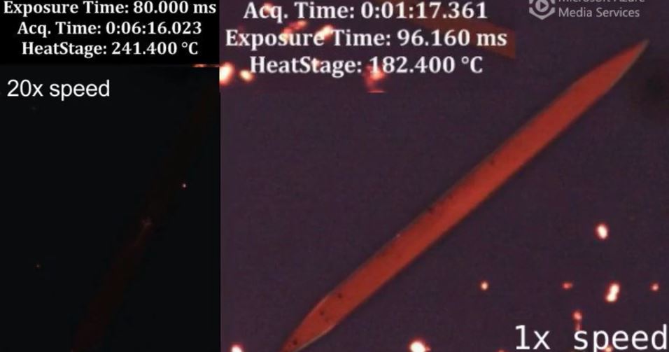 Molecular cooperativity