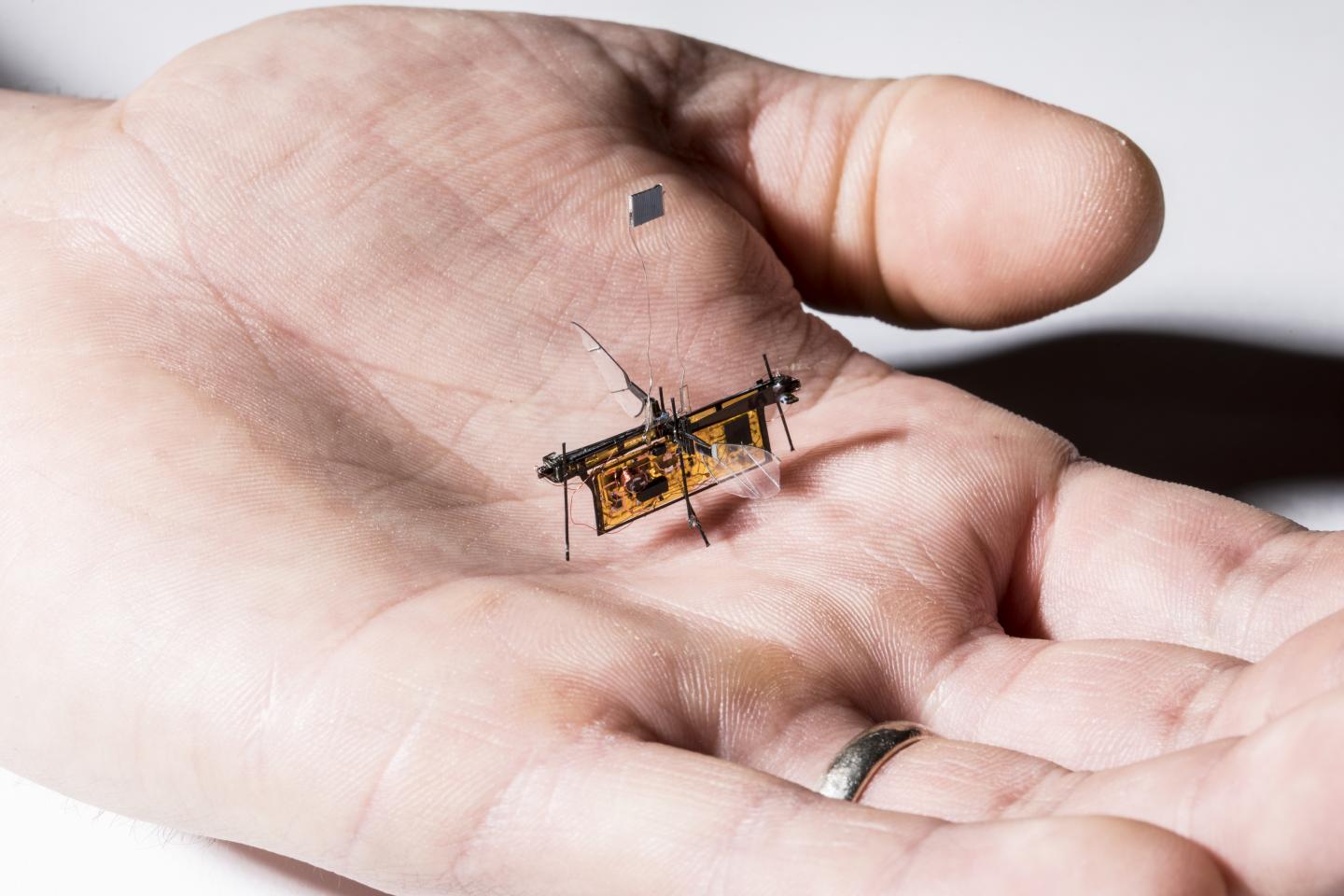 RoboFly fits in the Palm of Your Hand