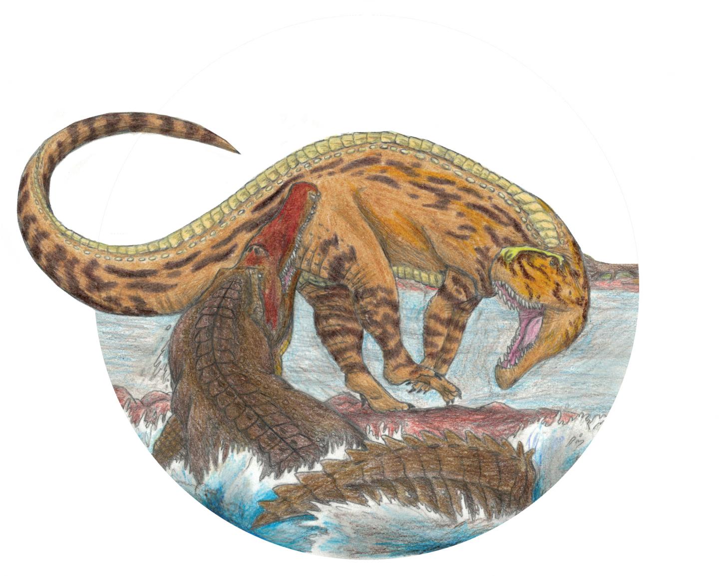 Interaction Reconstruction
