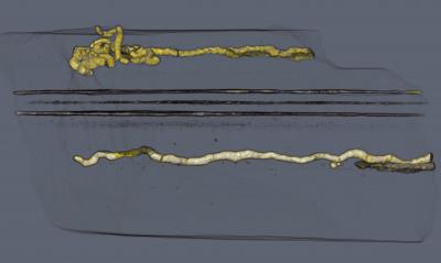 External Volume Transparencies at Different Heights in the Sample