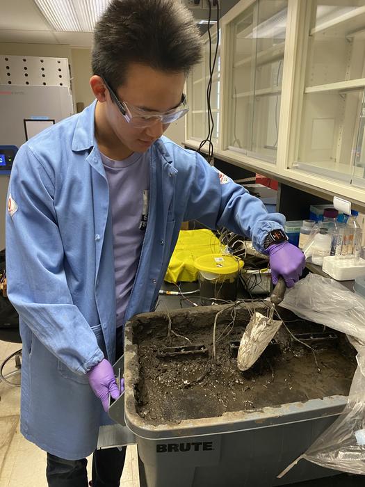Testing the fuel cell