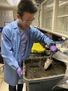 Testing the fuel cell