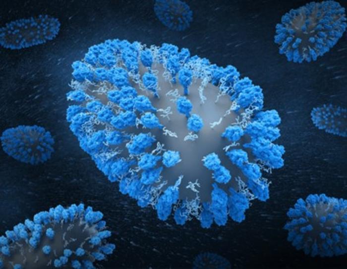 The Human Respiratory Syncytial Virus (RSV)