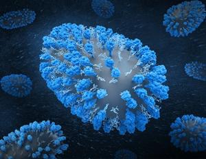 The Human Respiratory Syncytial Virus (RSV)