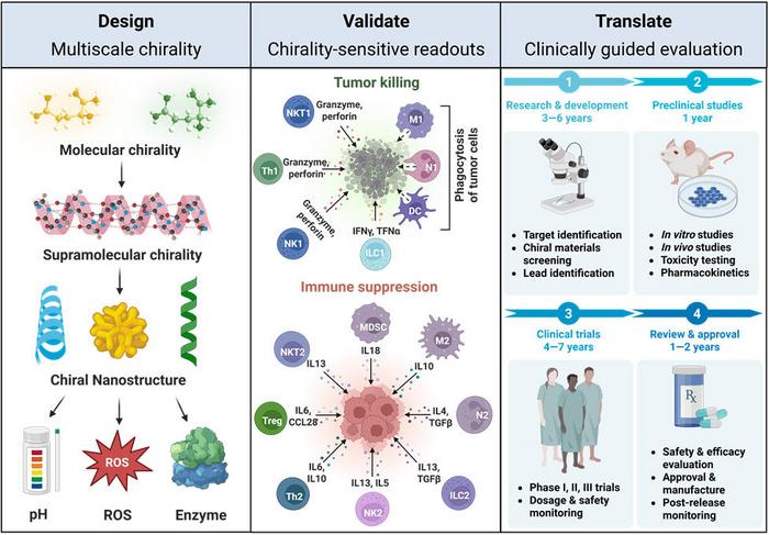 Designing Chiral Nanomaterials for Immune Modulation