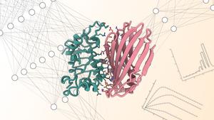 Illustration of a protein binder (pink) interacting with its target protein (green).