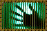 Photobioreactor 2