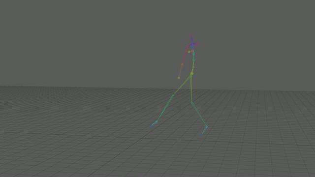 Motion Capture of Cricket Bowler