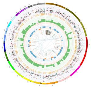 DNA changes and potential therapeutic targets